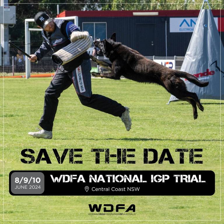 WDFA Nationals 2024